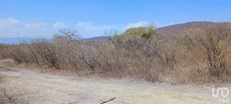 NEX-217869 - Terreno en Venta en El Caracol (Campo Chiquito), CP 62737, Morelos.