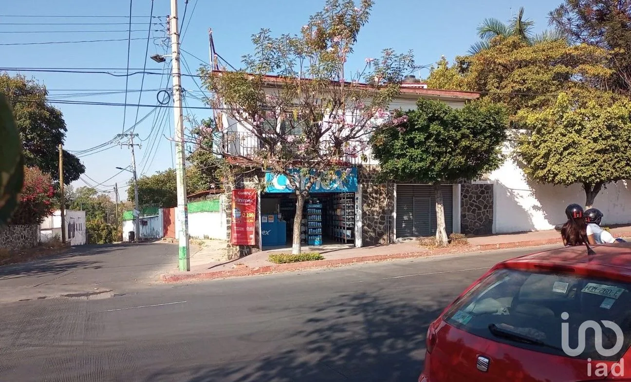 Local en Renta en Las Palmas, Cuernavaca, Morelos | NEX-113957 | iad México | Foto 6 de 9