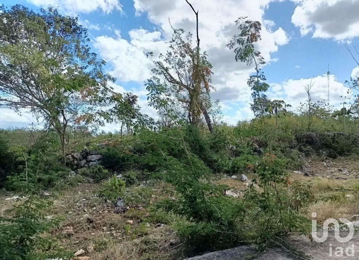 Terreno en Venta en Texán Cámara, Mérida, Yucatán