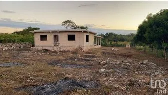 NEX-208854 - Casa en Venta, con 2 recamaras, con 1 baño, con 19.5 m2 de construcción en Calotmul, CP 97745, Yucatán.