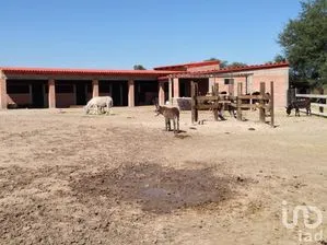 NEX-213653 - Rancho en Venta, con 3 recamaras, con 3 baños, con 230 m2 de construcción en Club de Golf Ventanas, CP 37718, Guanajuato.