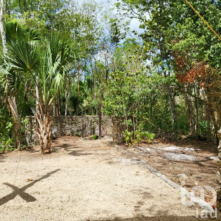 Terreno en Venta en Leona Vicario, Puerto Morelos, Quintana Roo | NEX-189200 | iad México | Foto 6 de 13
